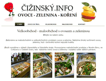 Tablet Screenshot of cizinsky.info